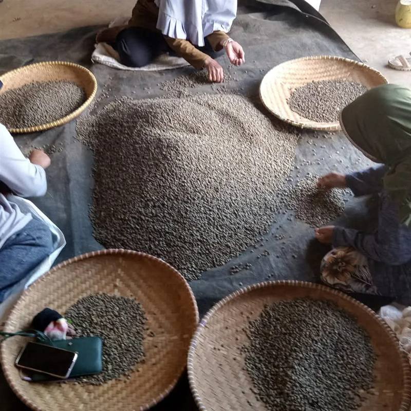 Processed coffee production in West Java